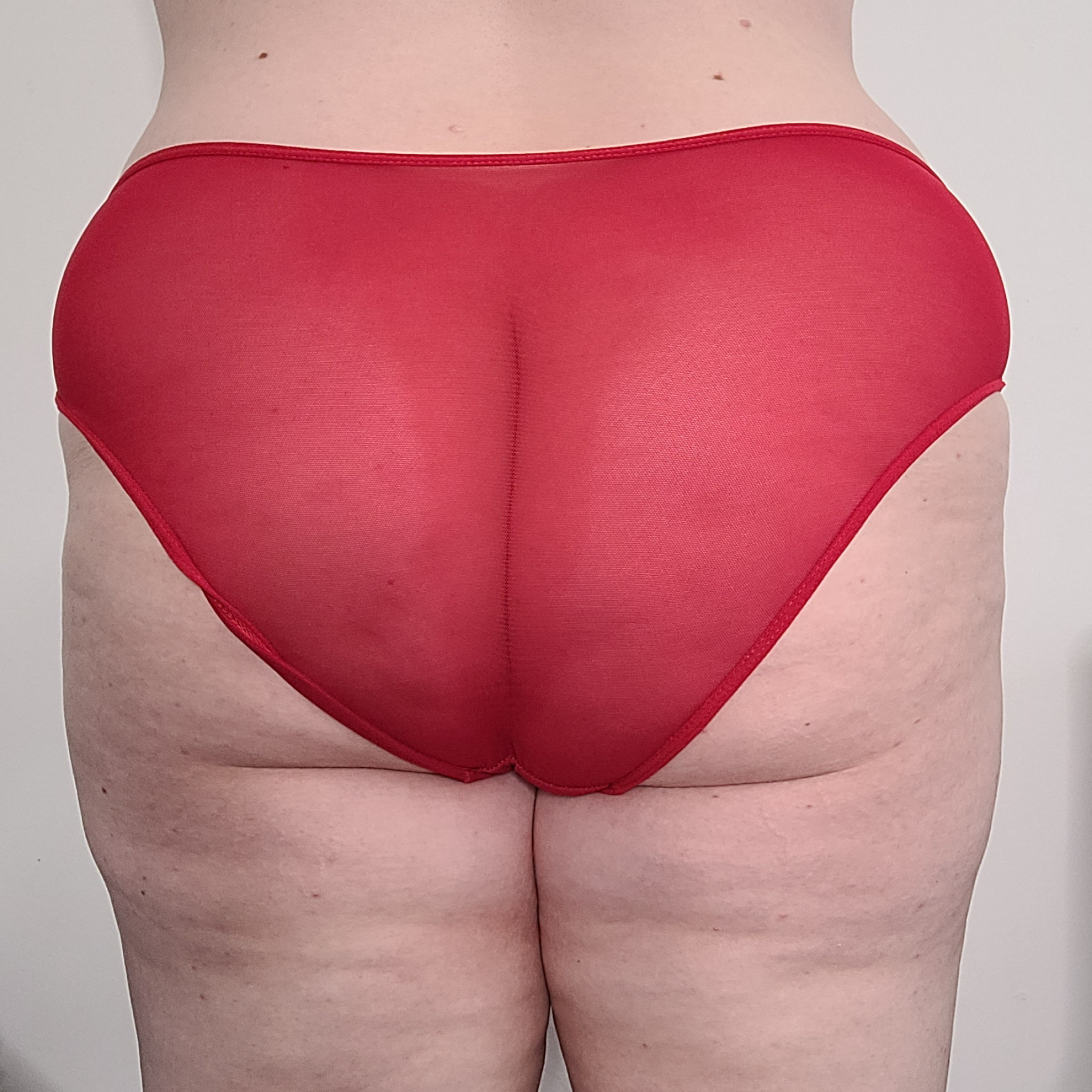 Red Lace and Mesh Panties